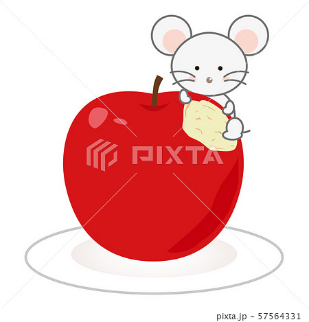 リンゴをかじるネズミのイラストのイラスト素材 57564331 Pixta