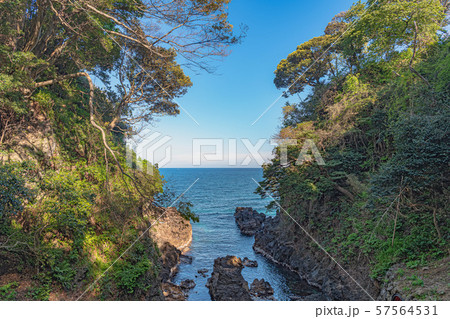 珠洲岬 (金剛岬)の風景 珠洲岬 (金剛岬)の風景 57564531