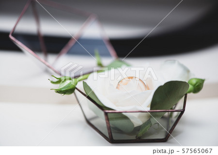 Two wedding rings in a beautiful box decorated with rose flowers. Themes of engagement, declaration 57565067