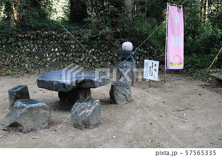 熊野神社（鹿児島県伊佐市大口山野）の幸桃（さちもも） 57565335