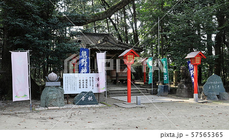 パワースポットへようこそ　熊野神社（鹿児島県伊佐市大口山野） 57565365