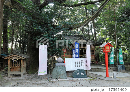 パワースポットへようこそ 熊野神社 鹿児島県伊佐市大口山野 の写真素材