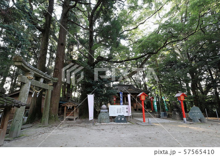 パワースポットへようこそ 熊野神社(鹿児島県伊佐市大口山野) パワースポットへようこそ 熊野神社(鹿児島県伊佐市大口山野) 57565410
