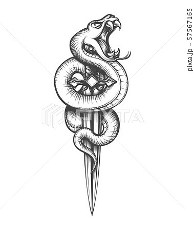 Snake On Dagger Tattooのイラスト素材