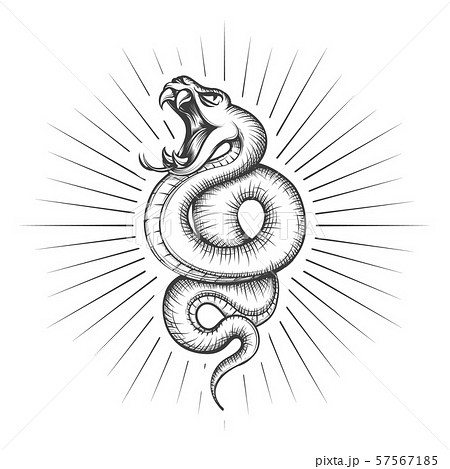Rattlesnake Snake Tattooのイラスト素材