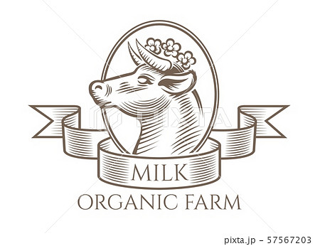 Cow engraving logo 57567203