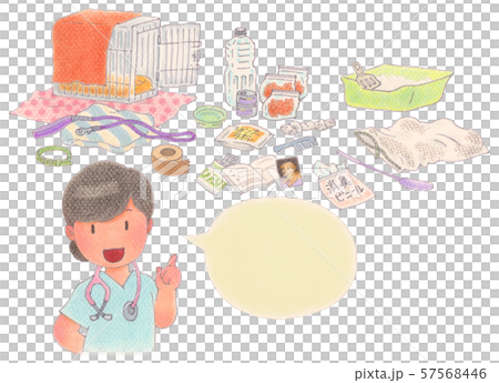 ペットの防災対策と準備について説明している女性　 57568446