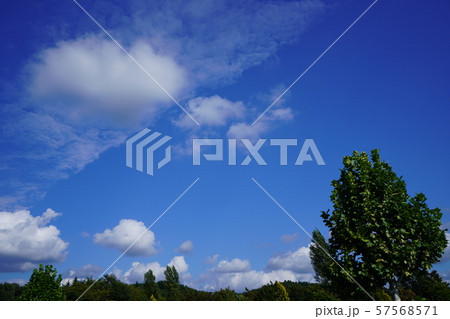 秋の空 57568571