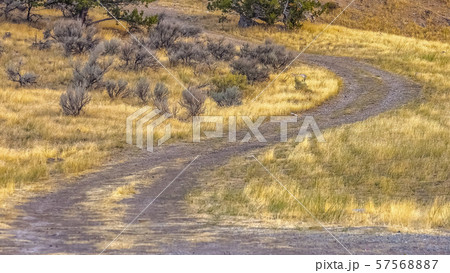 Trail curving on grass land in Goshen Canyon Utah 57568887