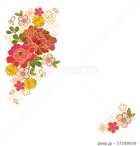 和柄 花 金 フレーム 桜 梅 牡丹のイラスト素材 57569056 Pixta
