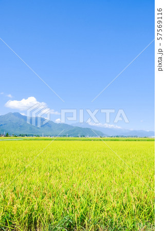 秋の田園風景 秋の田園風景 57569116