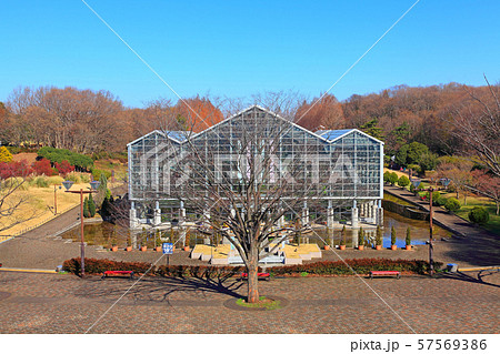 相模原公園のグリーンハウス 相模原公園のグリーンハウス 57569386