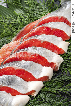 北海道の美味しい紅鮭 57569551