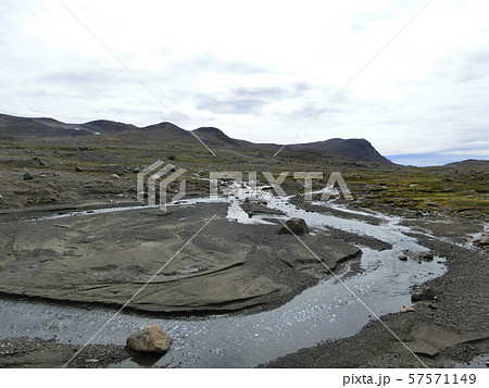 ツンドラの短い夏 57571149