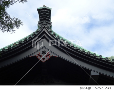 湯島聖堂・大成殿の屋根 湯島聖堂・大成殿の屋根 57571234