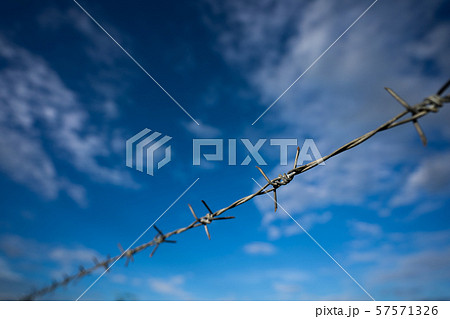 Barbed wire fence along the boundary line The Barbed wire fence along the boundary line The 57571326