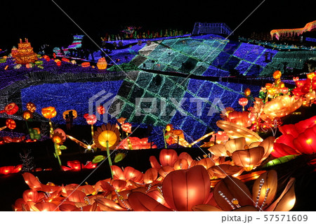 イルミネーション 57571609