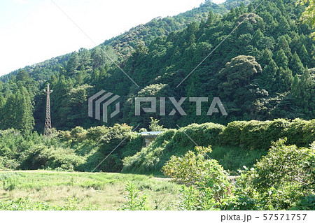 田口線廃線跡 田口線廃線跡 57571757