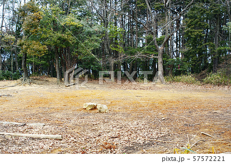 天王山山頂　山崎城跡 57572221