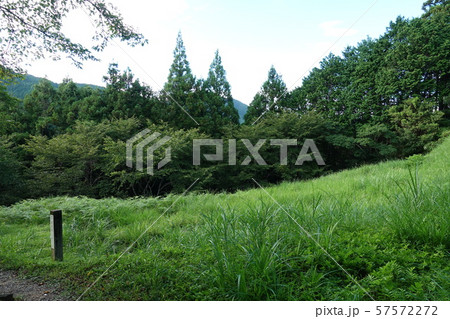 田峯城 田峯城 57572272