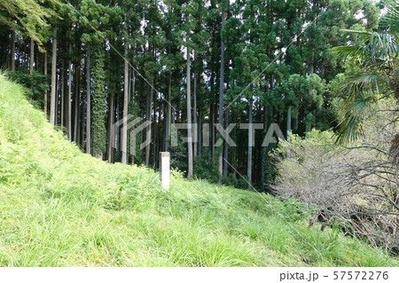 田峯城 田峯城 57572276