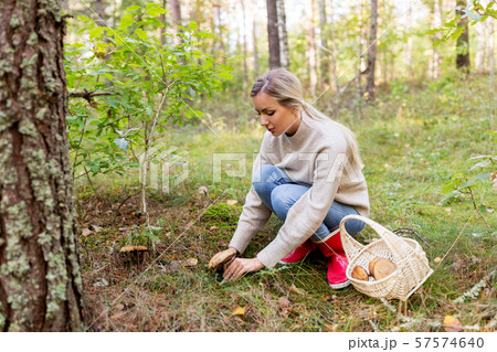 young woman picking mushrooms in autumn forest young woman picking mushrooms in autumn forest 57574640