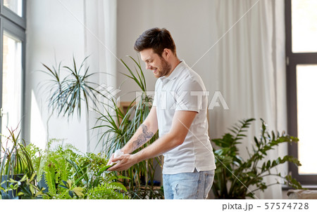 man cleaning houseplant's leaves at home 57574728