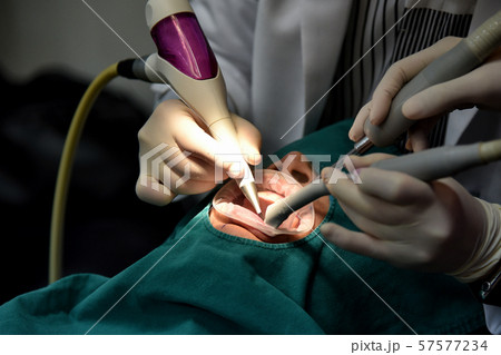 Dental care check up, Dentist examining. 57577234