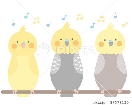 楽しそうなオカメインコたちのイラスト素材
