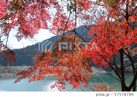 名栗湖の紅葉の写真素材