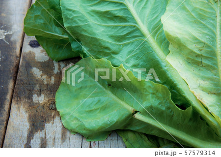 Leaves vegetable on wood. 57579314
