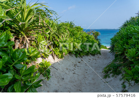 沖縄 宮古島 砂山ビーチ 浜へのみち 沖縄 宮古島 砂山ビーチ 浜へのみち 57579416