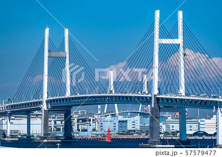 《神奈川県》横浜ベイブリッジの風景・港が見える丘公園 57579477