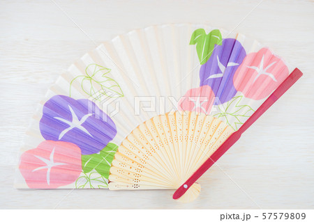 アサガオの絵が描かれた扇子 57579809