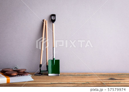 Garden tools and money. Work, career and hobby. Free space for text, copy space 57579974