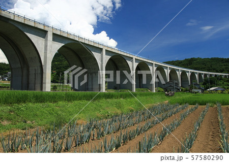 日常のひとこま 57580290