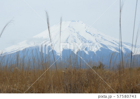 富士山(北富士演習場/山梨県富士吉田市・山中湖村・忍野村) 富士山(北富士演習場/山梨県富士吉田市・山中湖村・忍野村) 57580743