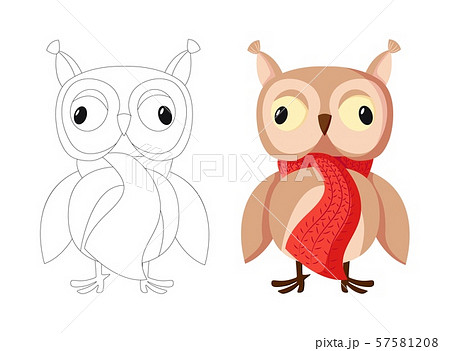 Cute Brown Owl with big eyes Cartoon character isolated on white background 57581208