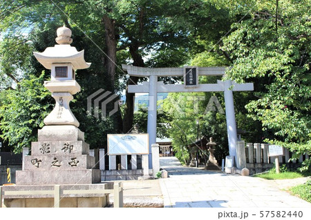 弓弦羽神社 弓弦羽神社 57582440