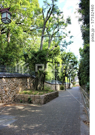 香雪美術館側道 57582460