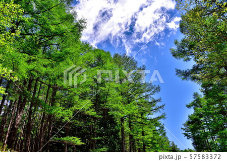 鶏頂山 鶏頂山 57583372