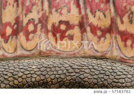 Close up to Colorful and patterns of dinosaur model surfaces created with cement Close up to Colorful and patterns of dinosaur model surfaces created with cement 57583762