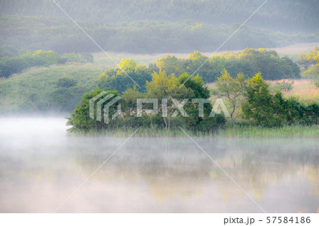 冬師湿原 秋田県 冬師湿原 秋田県 57584186