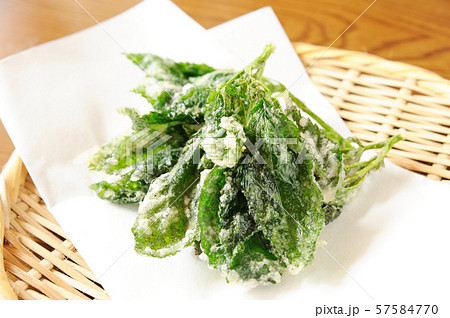 天麩羅 57584770
