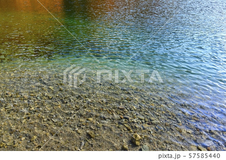 中禅寺湖周回線歩道北岸の湖面 中禅寺湖周回線歩道北岸の湖面 57585440