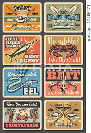 Fishing sport, sea fish catch tackles store 57586471