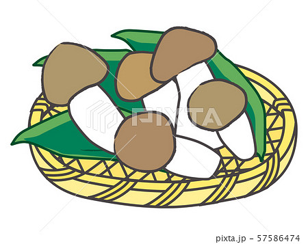 しめじ　shimeji/mushroom 57586474