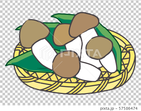 しめじ　shimeji/mushroom 57586474