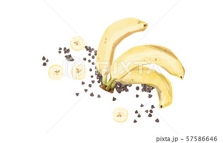 バナナとチョコチップ バナナとチョコチップ 57586646