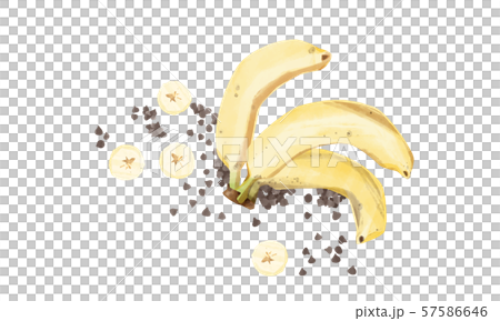 バナナとチョコチップ バナナとチョコチップ 57586646